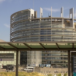 Plenary Session European Parliament 2019