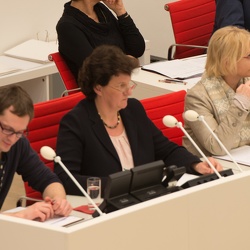 Plenarsitzung im Landtag Brandenburg