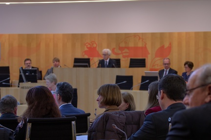 2019-01-18 Konstituierende Sitzung Hessischer Landtag AfD Kahnt 3641