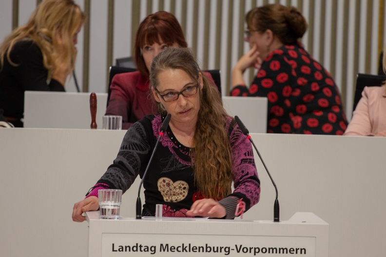 2019-03-14 Karen Larisch Landtag Mecklenburg-Vorpommern_6292.jpg