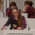 2019-03-14 Karen Larisch Landtag Mecklenburg-Vorpommern 6292
