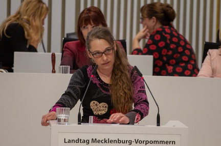 2019-03-14 Karen Larisch Landtag Mecklenburg-Vorpommern 6292