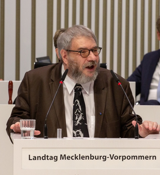 2019-03-14_Ralph Weber Landtag Mecklenburg-Vorpommern_6439.jpg